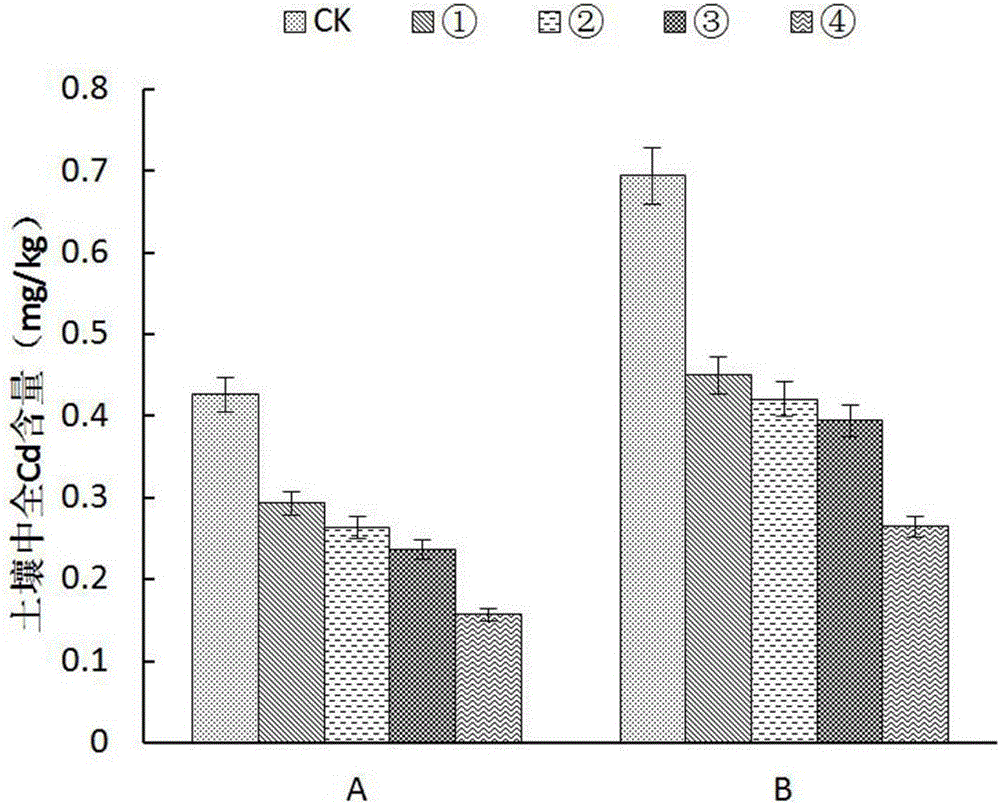 Method for enhancing cadmium-polluted soil phytoremediation through phosphate solubilizing bacteria