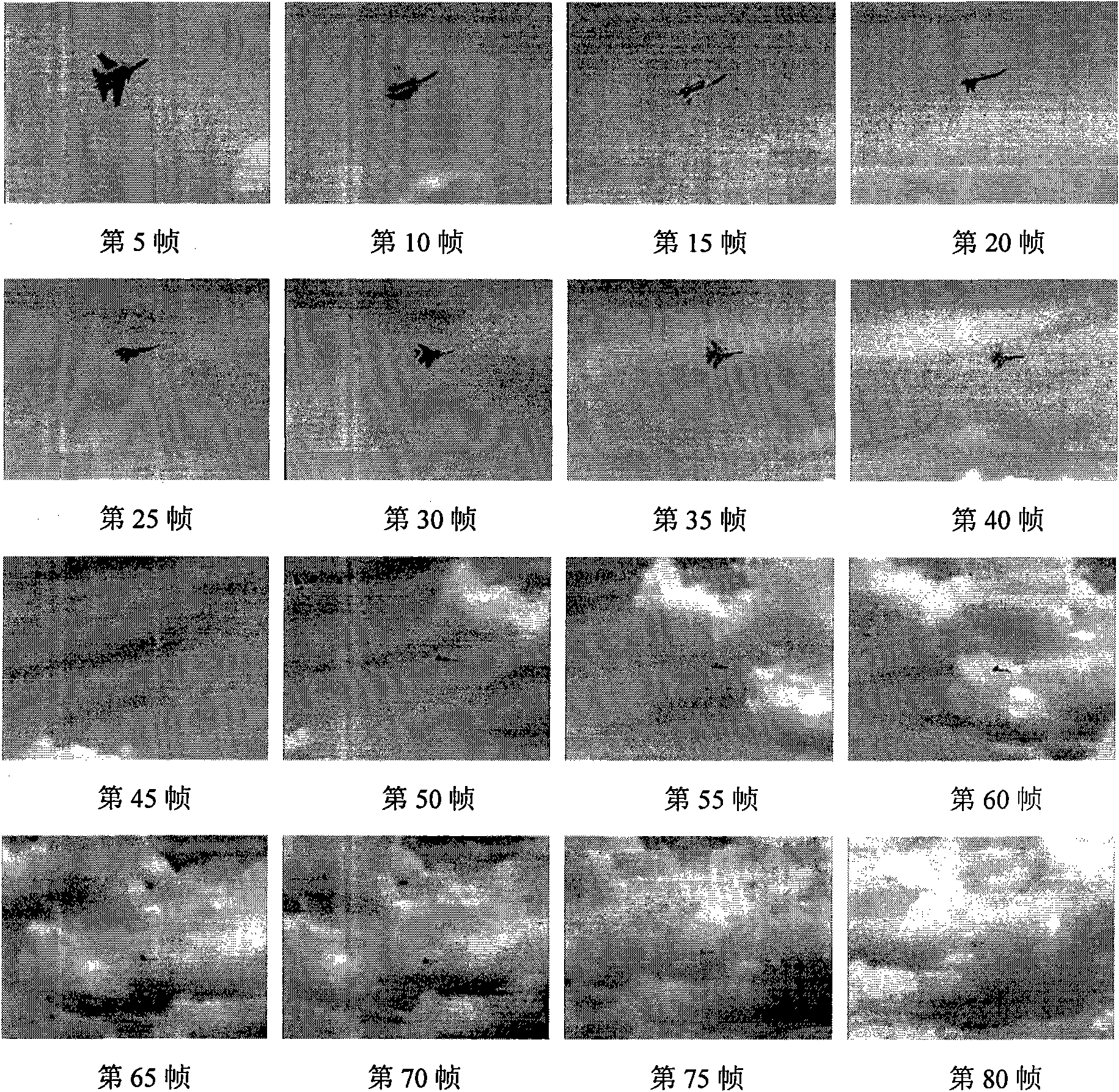 Gray level target tracking algorithm based on marginal information and mean shift