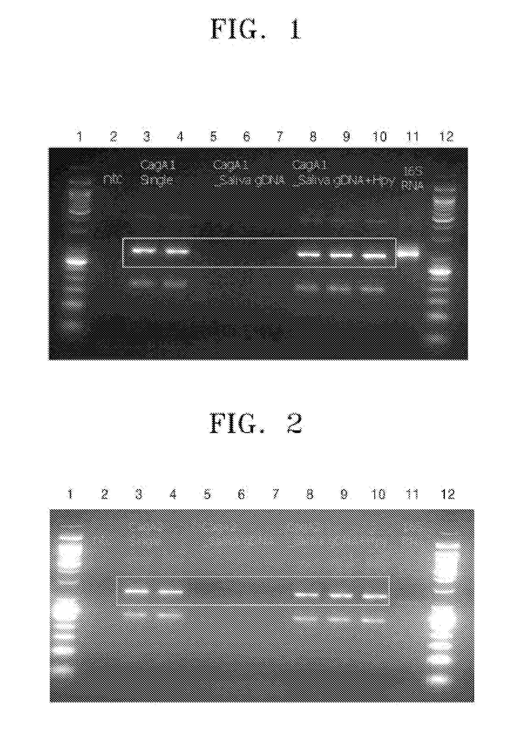 Method and compositions for detecting helicobacter pylori