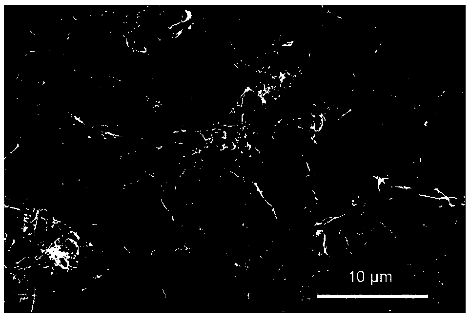 Carbon aerogel prepared from chitin aerogel and preparation method thereof