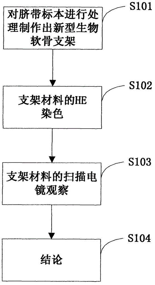 Method for manufacturing novel biological cartilage support by using umbilical cord Wharton jelly