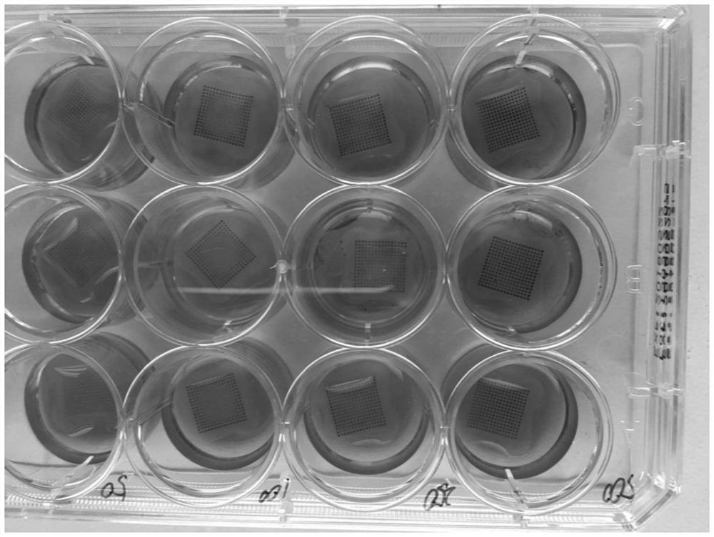 Method for constructing tissue-engineered artificial liver-like tissue