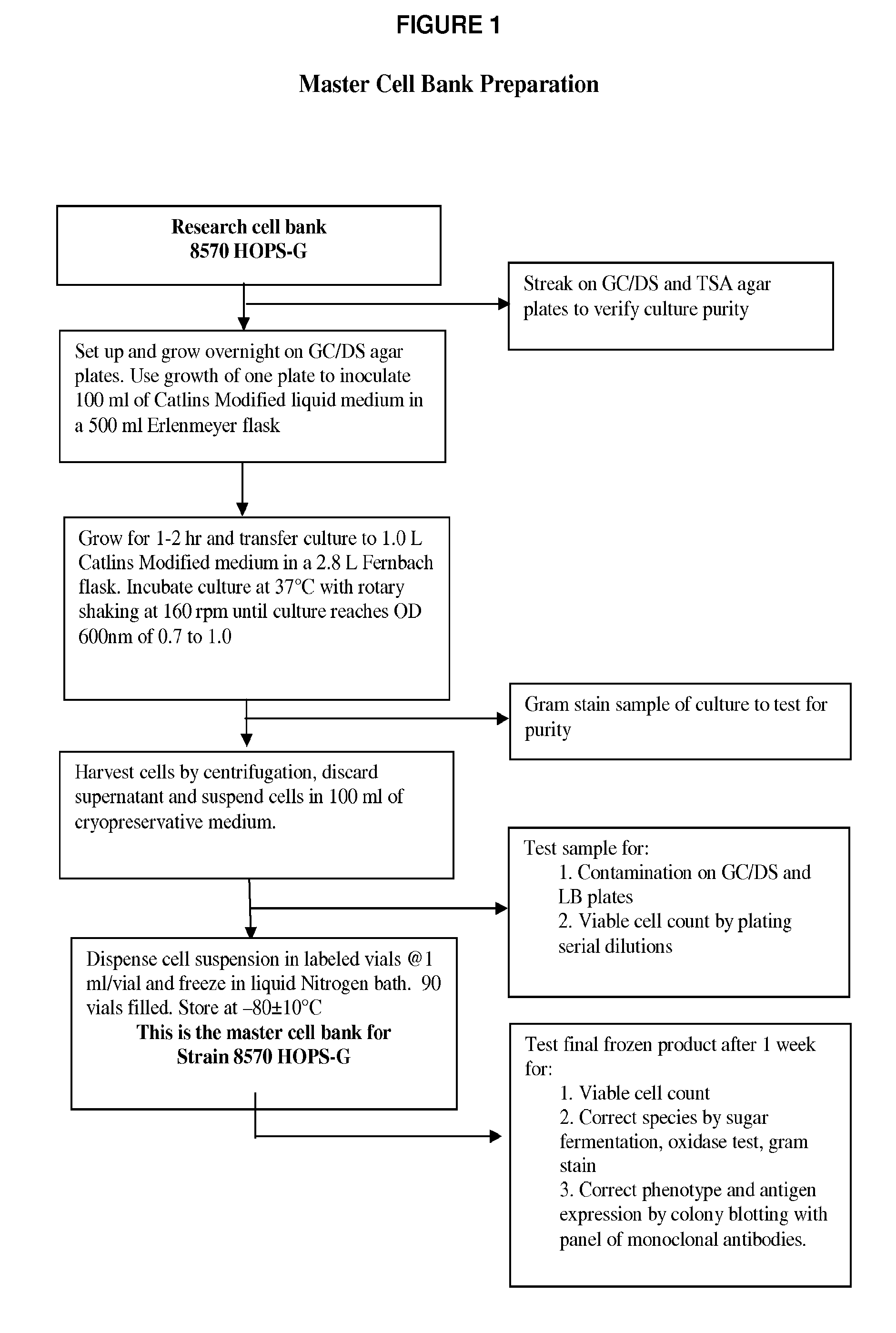 Meningococcal multivalent native outer membrane vesicle vaccine, methods of making and use thereof