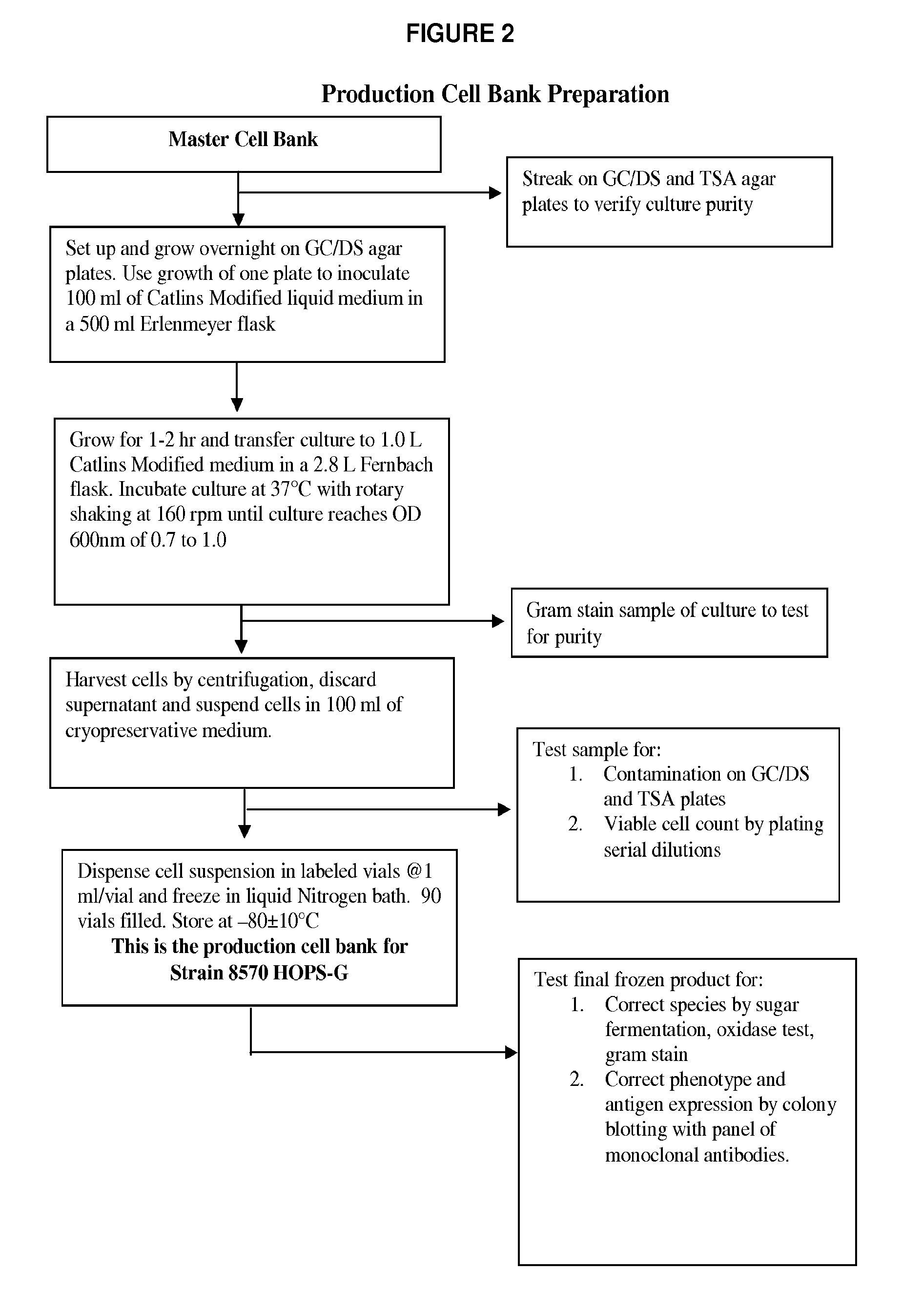 Meningococcal multivalent native outer membrane vesicle vaccine, methods of making and use thereof