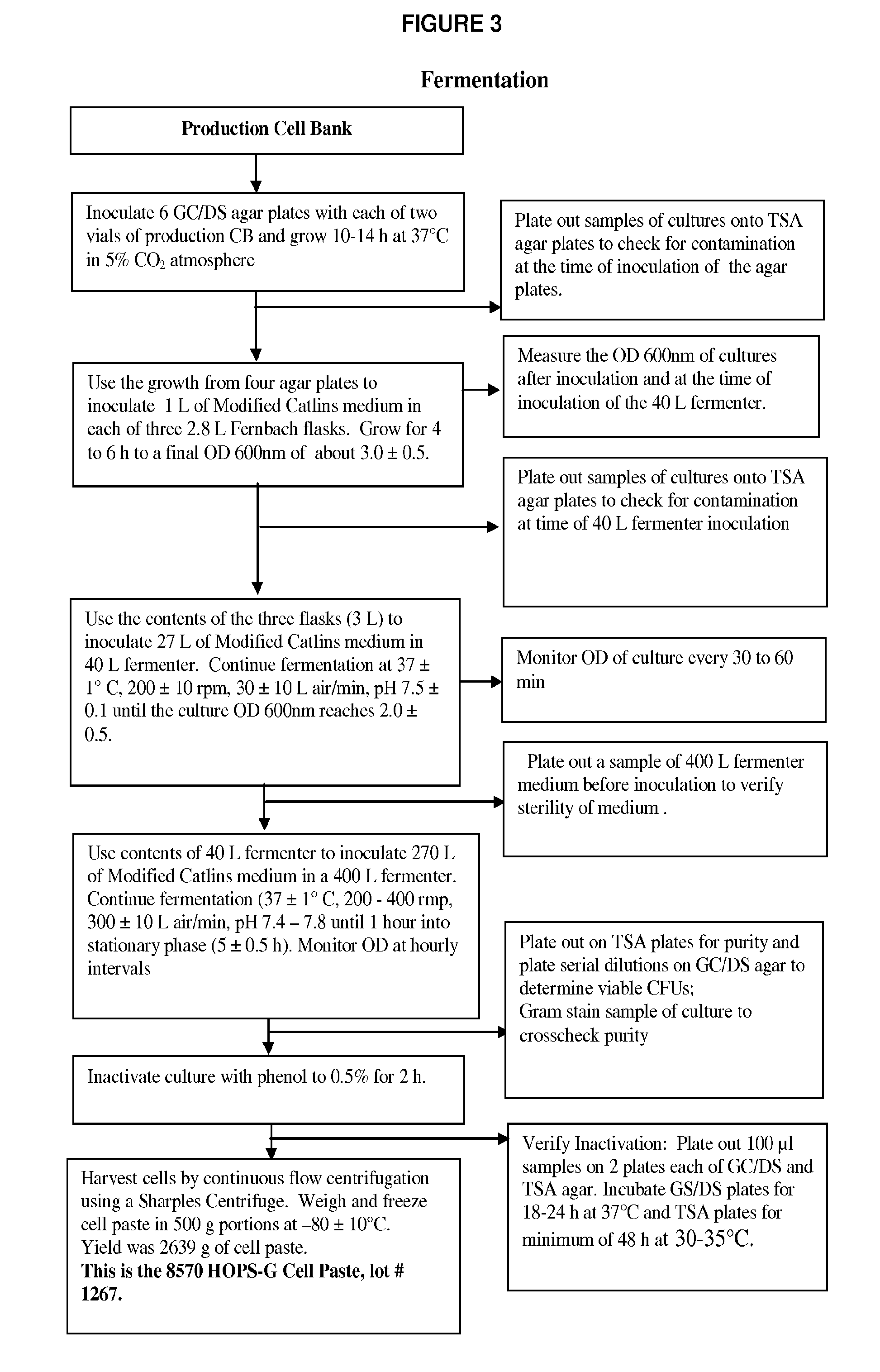 Meningococcal multivalent native outer membrane vesicle vaccine, methods of making and use thereof