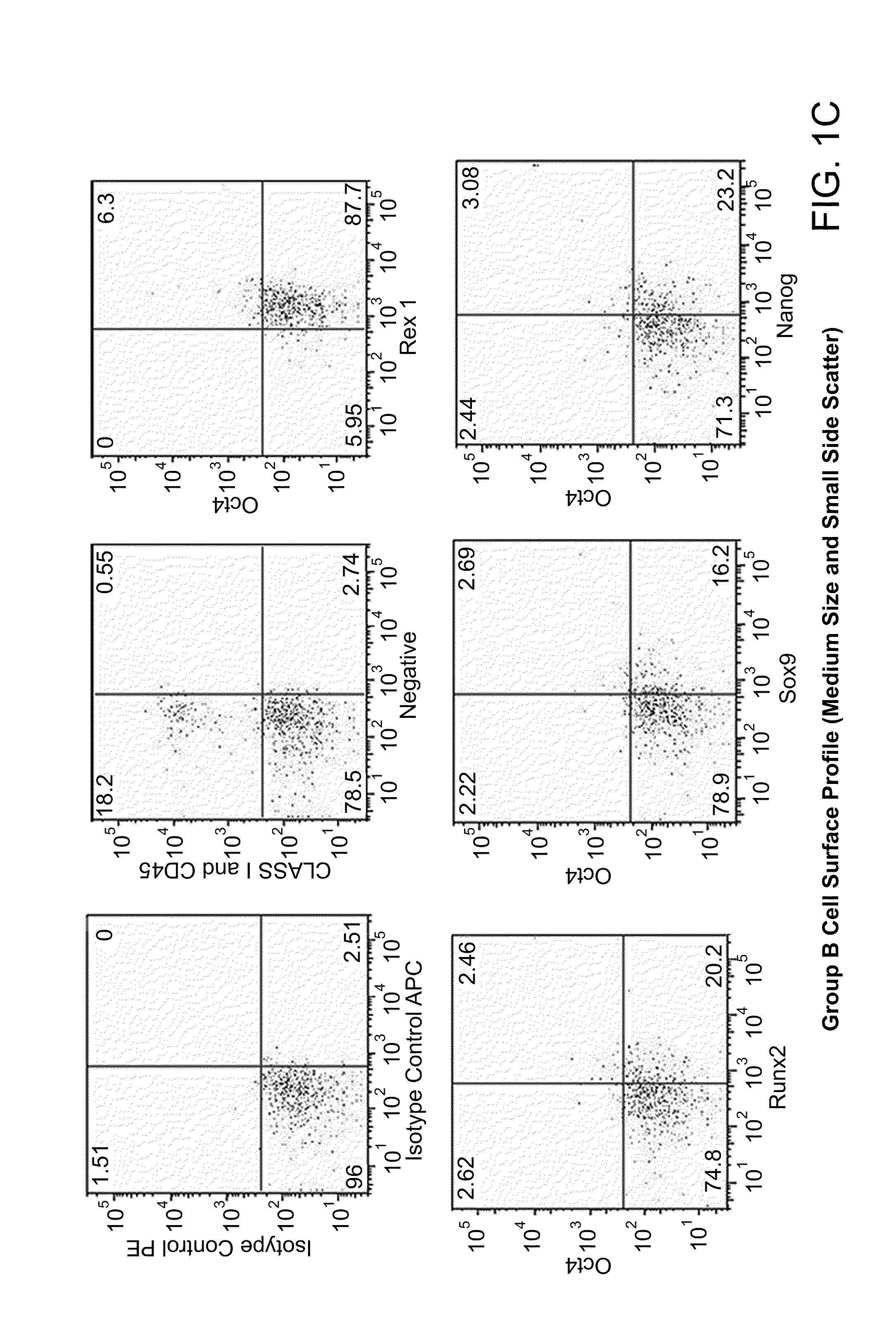 Multipotent stem cells and uses thereof