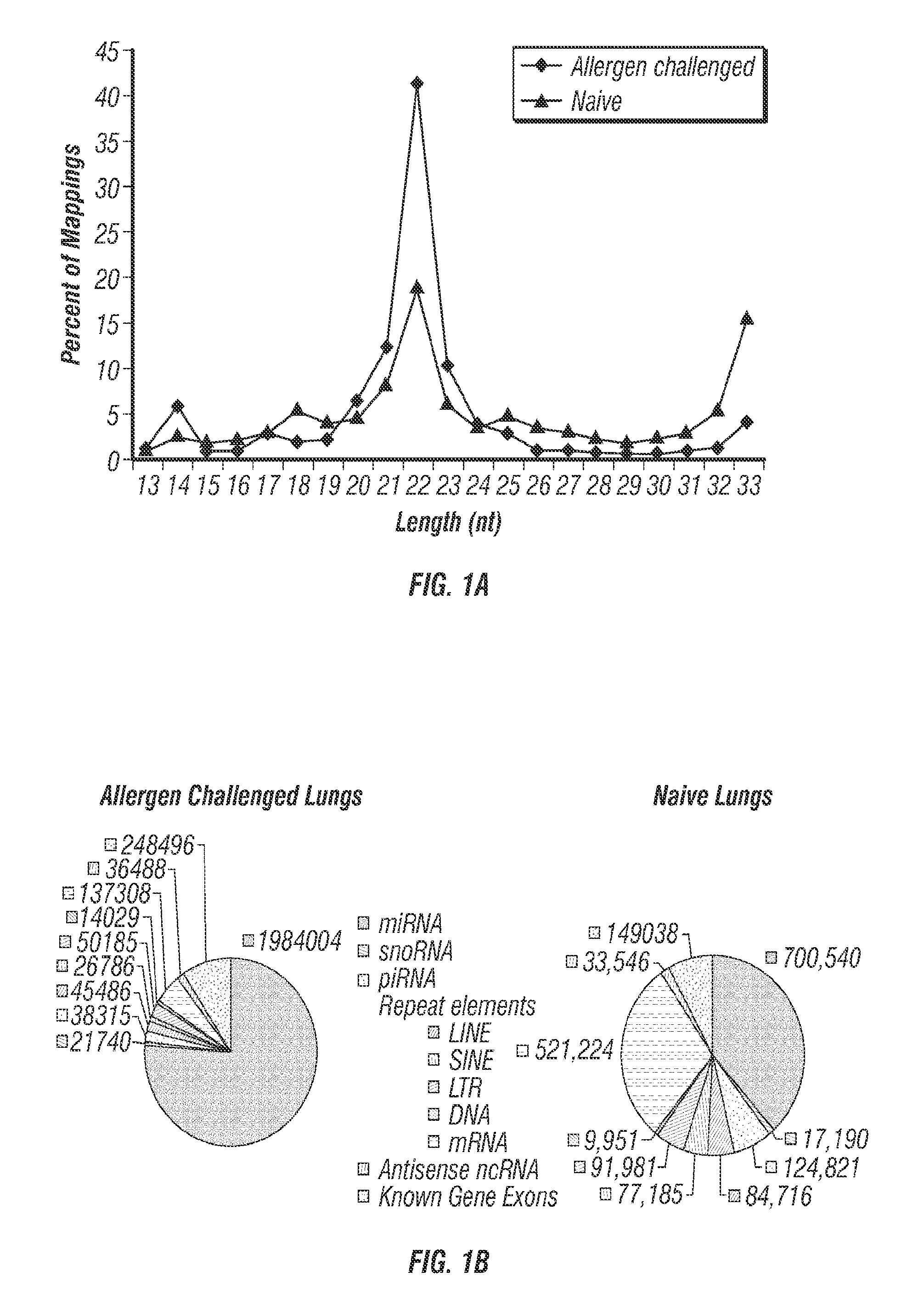 Mirna expression in allergic disease