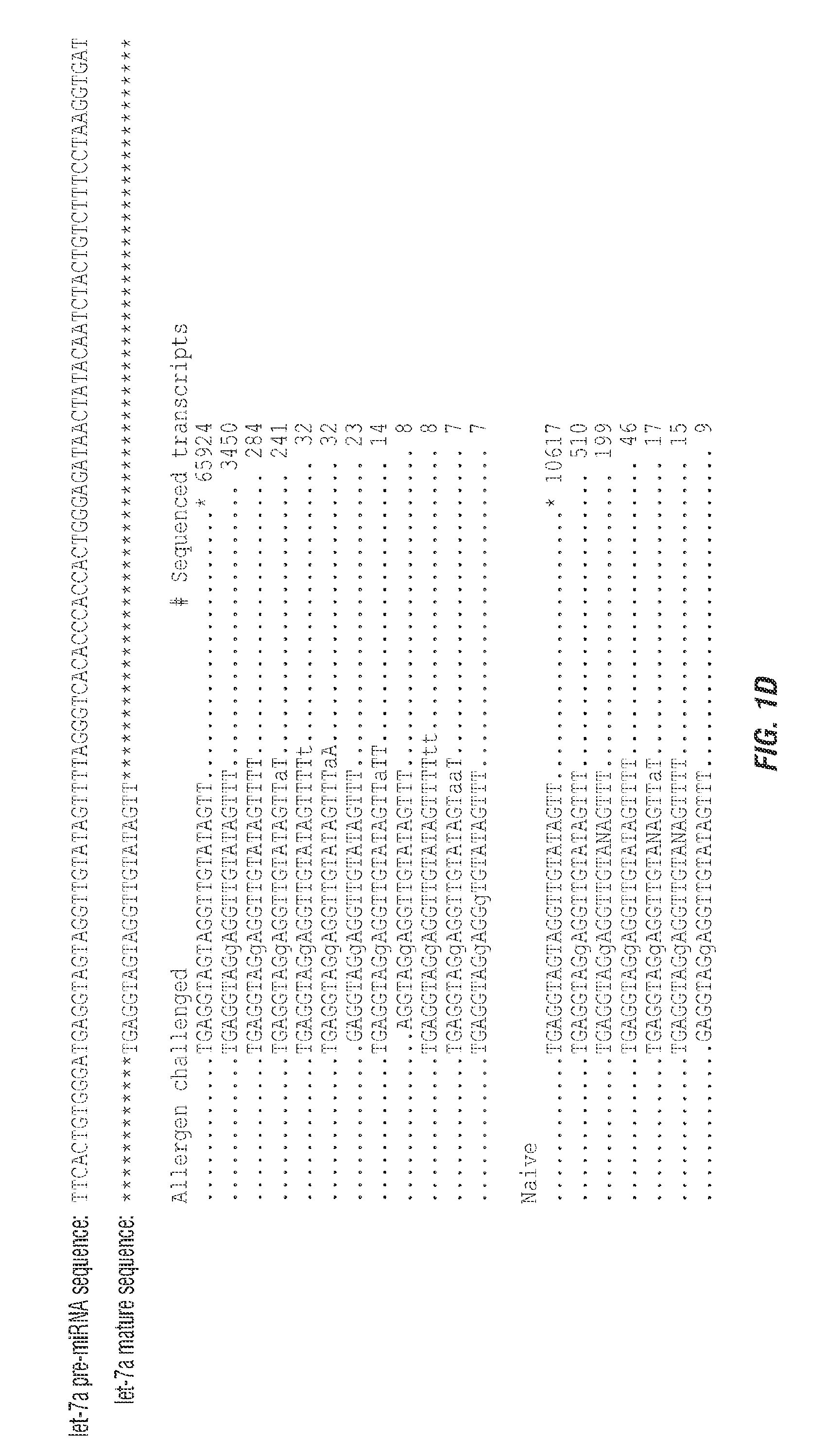 Mirna expression in allergic disease