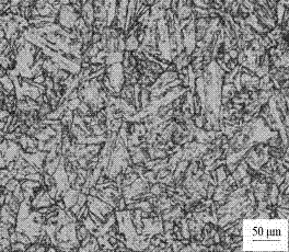 Heat-resistant steel for ultra-supercritical steam turbine rotor