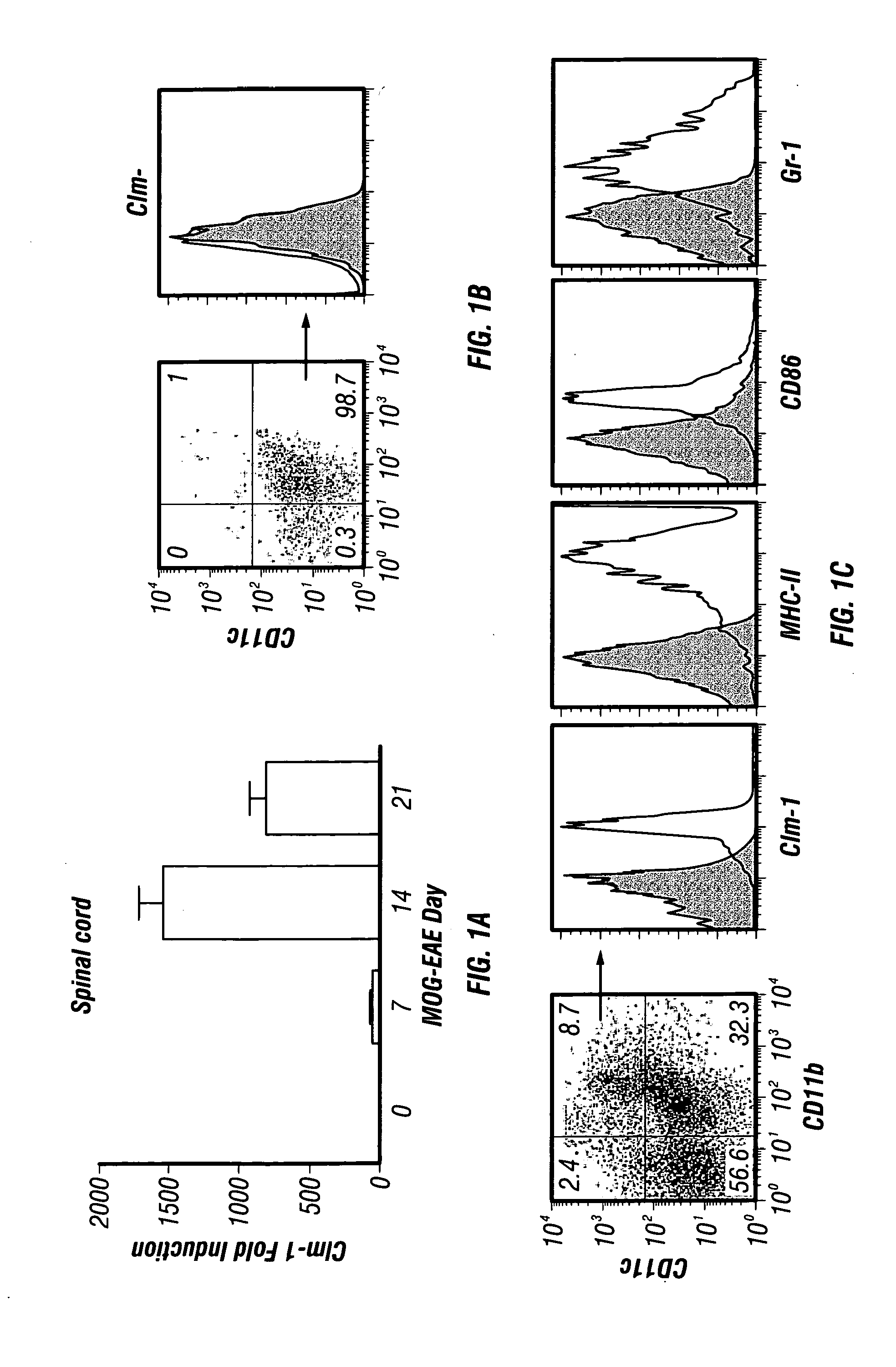 Diagnosis and treatment of autoimmune demyelinating diseases