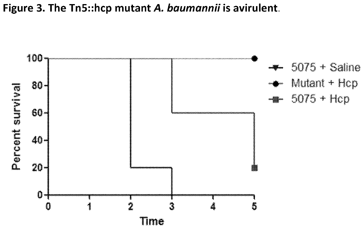 Monoclonal antibodies for treatment of microbial infections