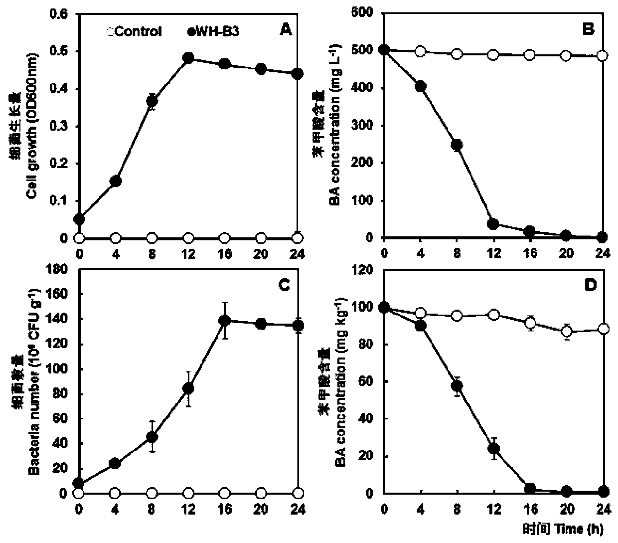 A kind of Pseudomonas putida and its bacterial agent and application