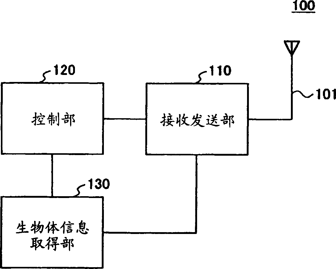 Position measuring method, system and device and radio device in organism