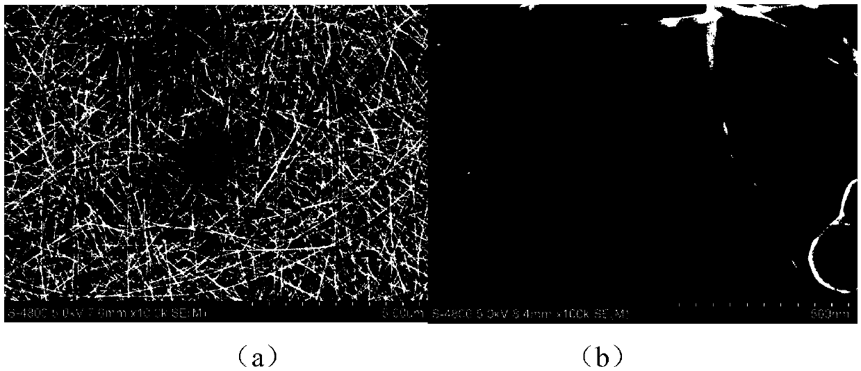 High length-diameter ratio silver nanowire and preparation method thereof