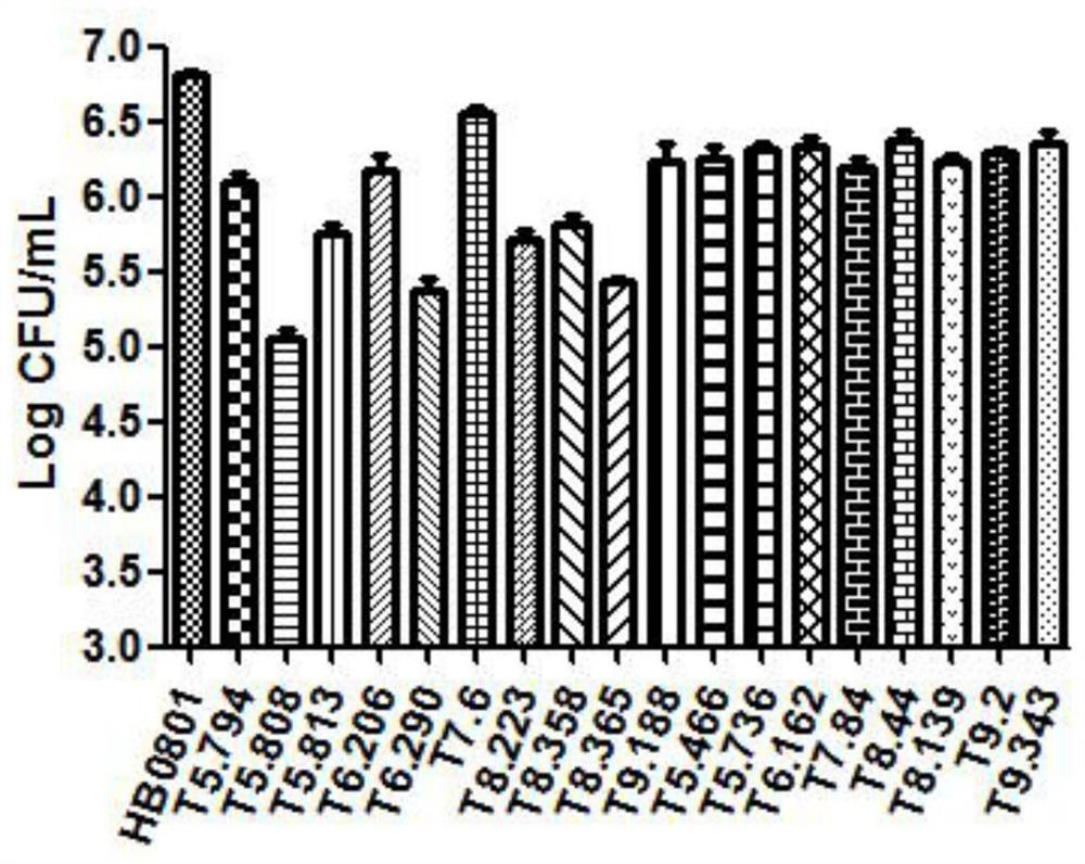 Mycoplasma bovis Mbov0701 mutant gene as well as mutant strain and application thereof