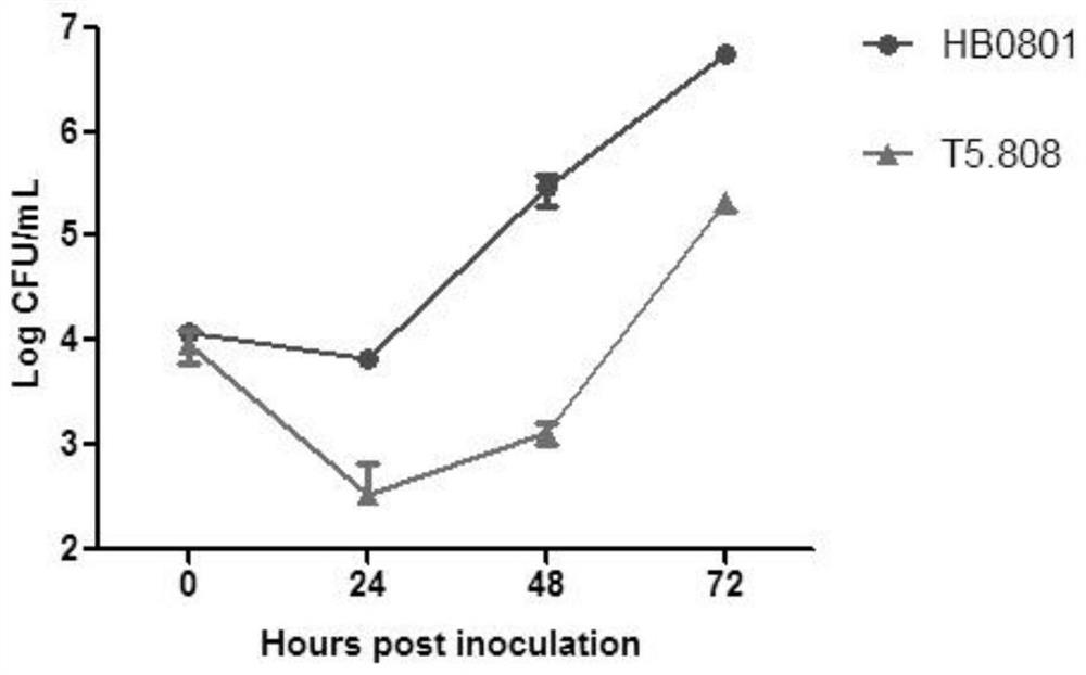 Mycoplasma bovis Mbov0701 mutant gene as well as mutant strain and application thereof