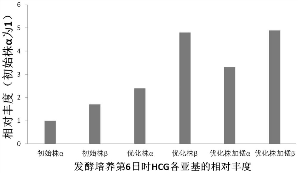 Method for producing rhcg by high-efficiency fermentation of cho cells