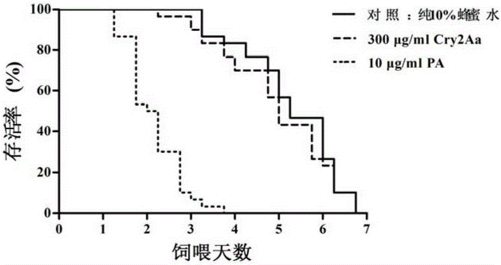 Safety evaluation method of transgenic insect-resistant rice against parasitic natural enemy Oryza spp.