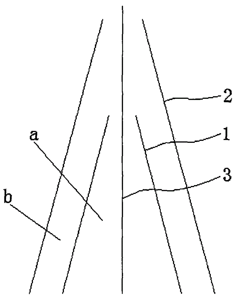 A blasting method for directional fracture and slotting of mixed wedge-shaped kerf charges in hard rock roadways