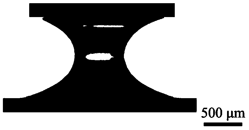 Irregular micro-gel preparation method based on liquid bridge phenomenon