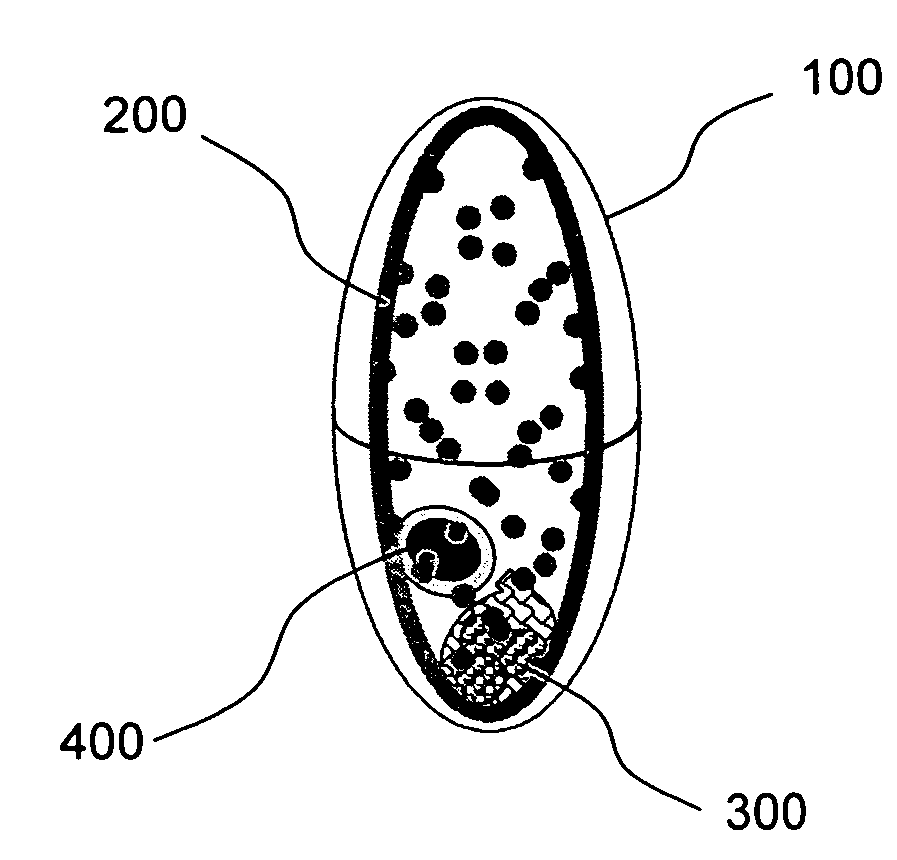 Device and method for reducing calorie intake