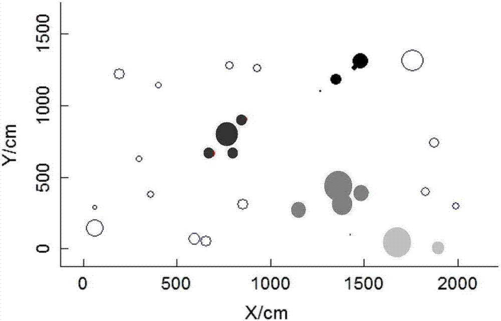 SSR marker primer group for identifying robinia pseudoacacia germplasm resource genetic relationship and application of SSR marker primer group