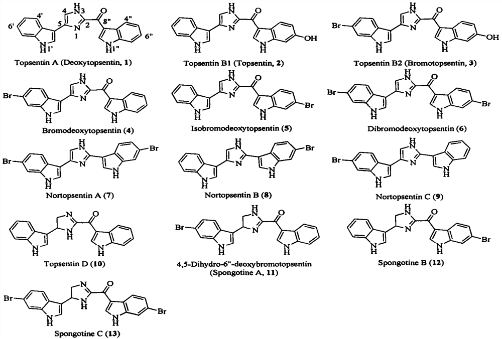 Topsentin derivatives and their preparation and application in anti-plant viruses and bacteria