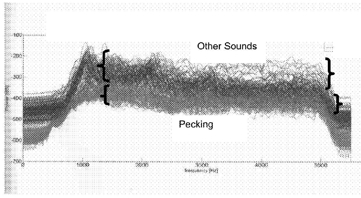 Automated Monitoring of Animal Nutriment Ingestion