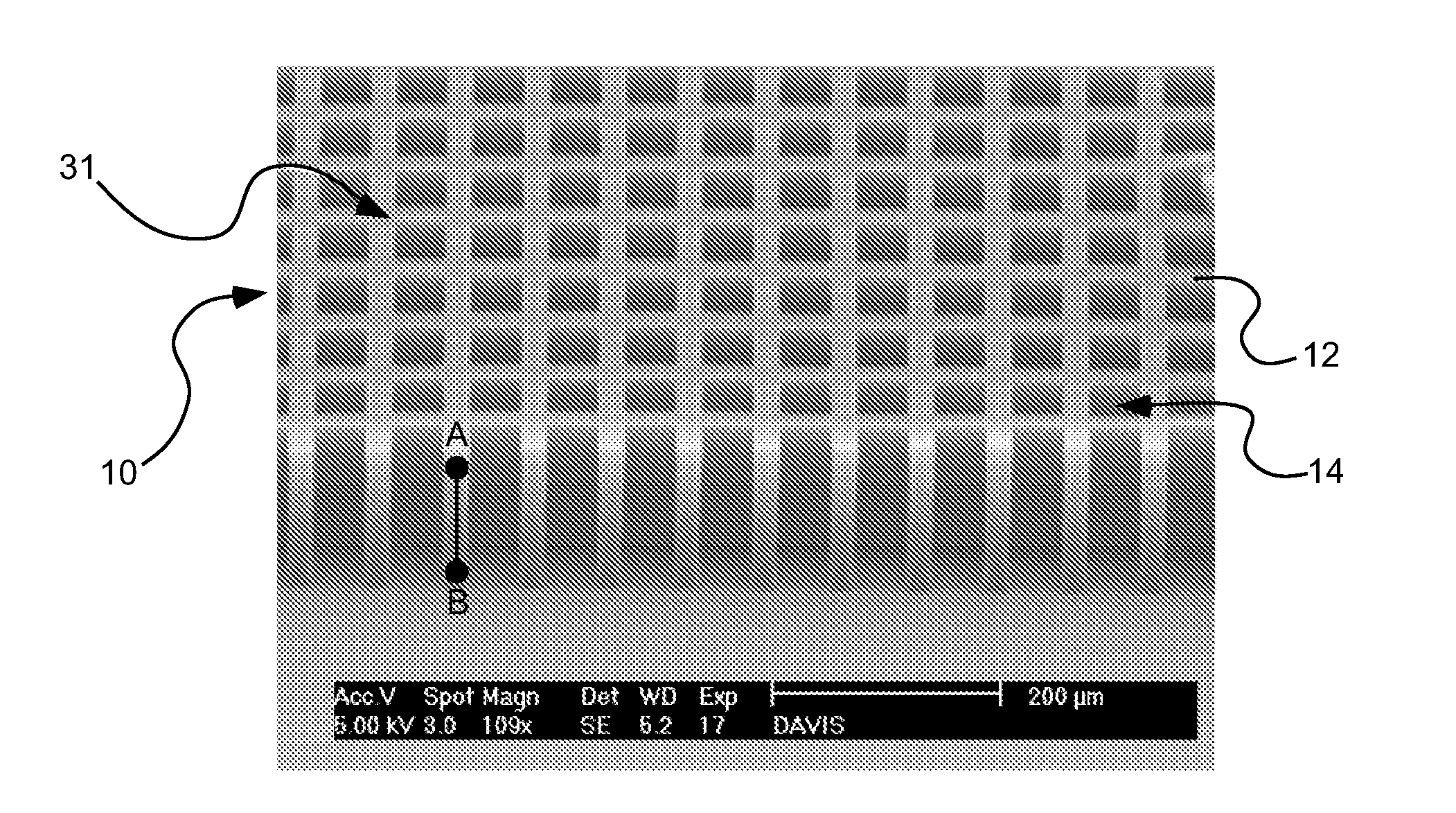 Carbon nanotube assembly