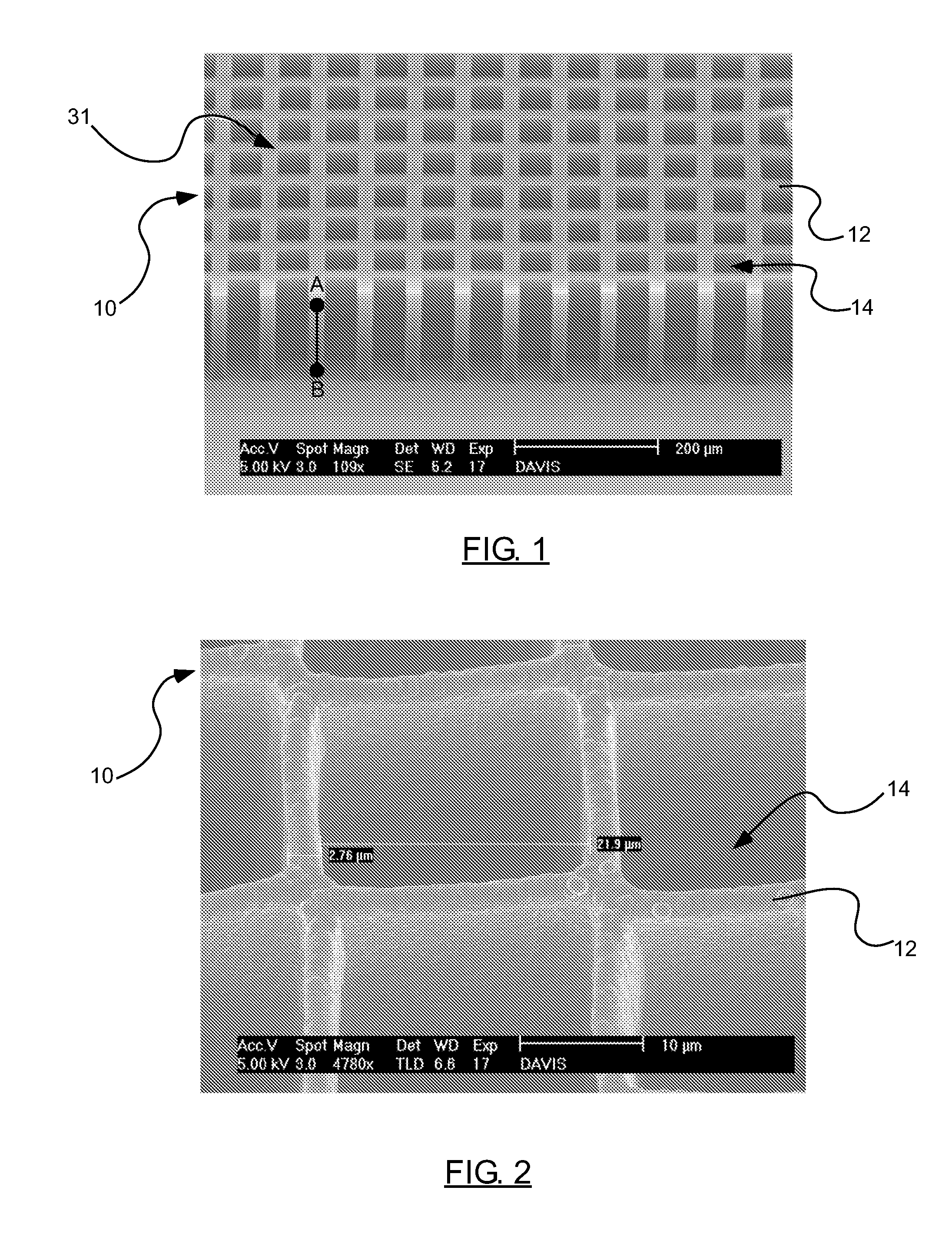 Carbon nanotube assembly