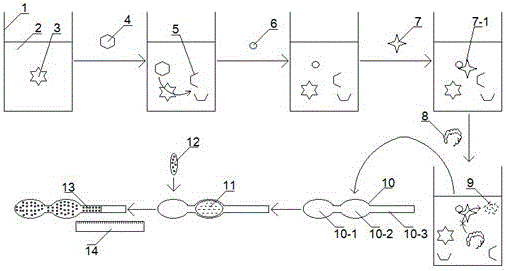 Simple and low cost method for detecting activity of alkaline phosphatase