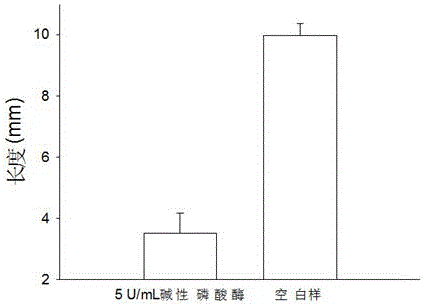 Simple and low cost method for detecting activity of alkaline phosphatase