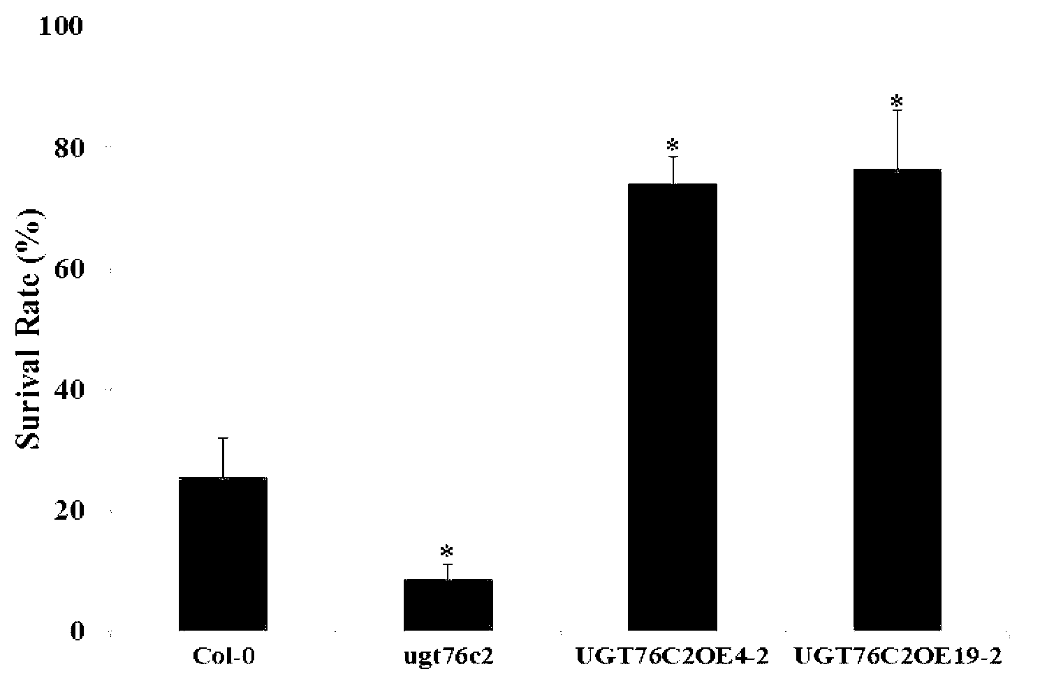 Application of arabidopsis glycosyl transferase gene UGT 76C2 in improving plant drought resistance