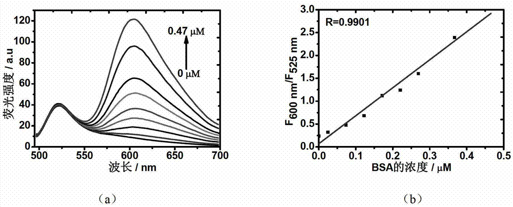 Fluorochrome taking fluorescein as matrix, as well as preparation method and application thereof