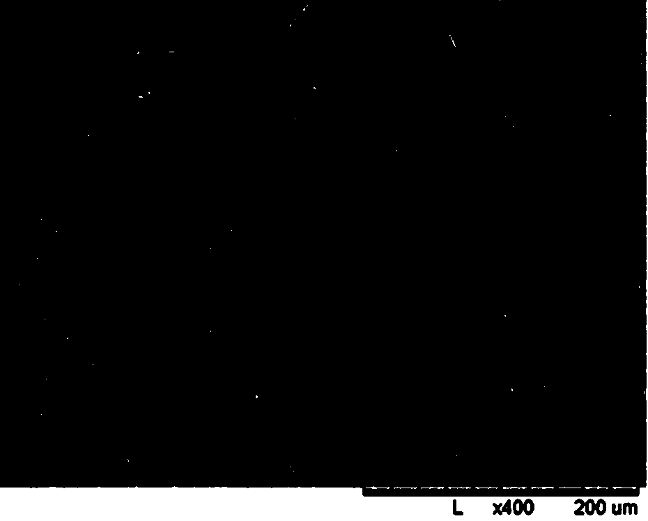 Preparation method of antibacterial silk fibroin fibrous membrane