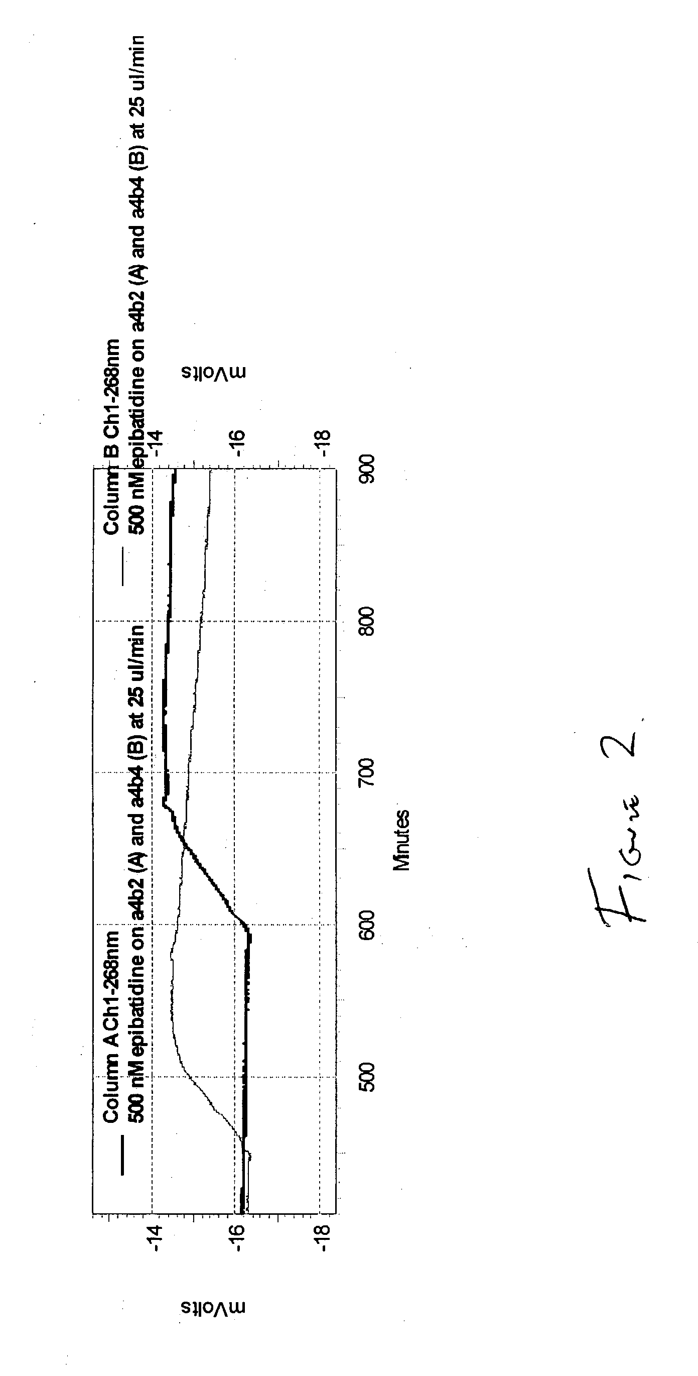 Novel parallel throughput system