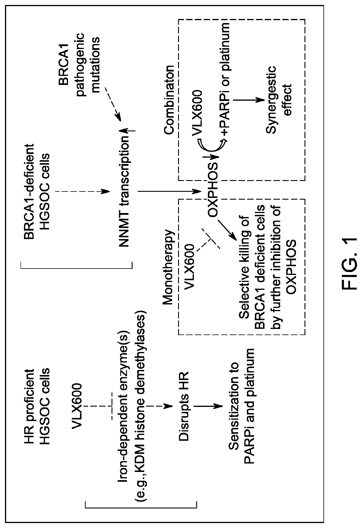 Methods and materials for treating cancer