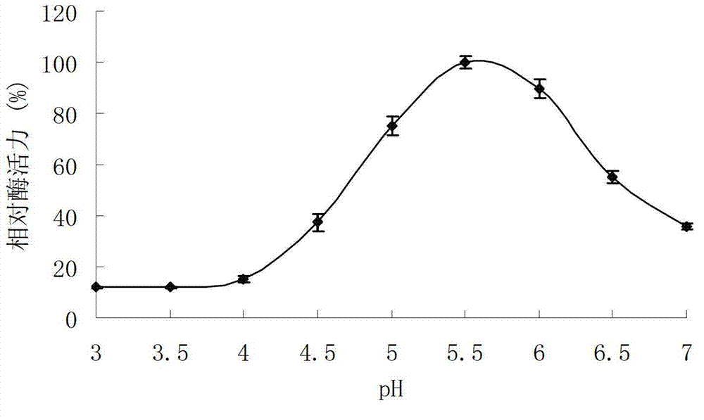 Aspergillus sp. strain and application of aspergillus sp. strain to preparation of xylanase