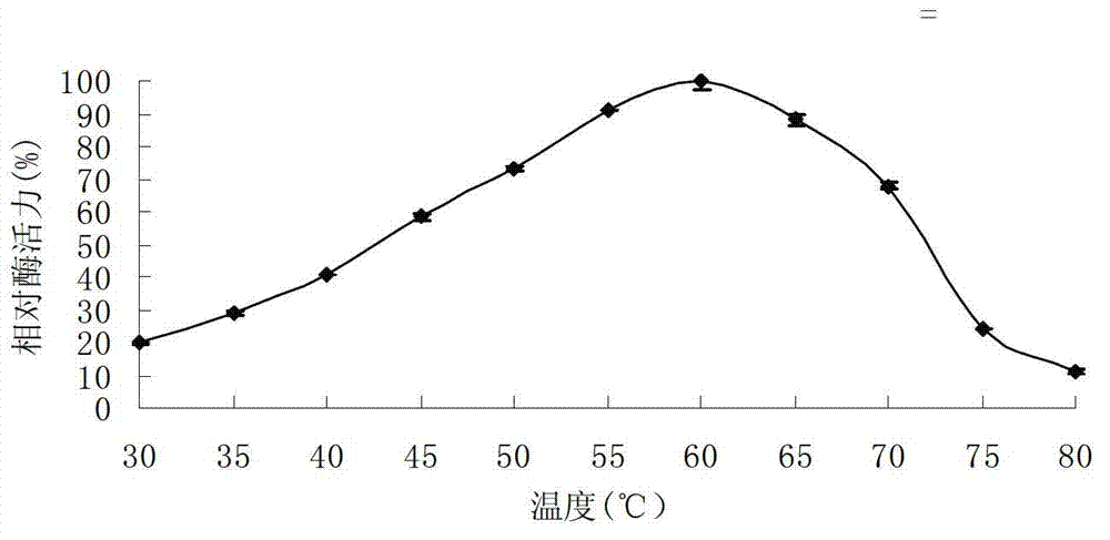 Aspergillus sp. strain and application of aspergillus sp. strain to preparation of xylanase