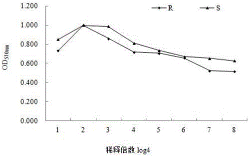 Gene and method for preparing recombinant fugu rubripes IFN-gamma protein