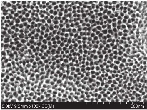 Titanium and plastic integrated surface treatment method and composite product thereof