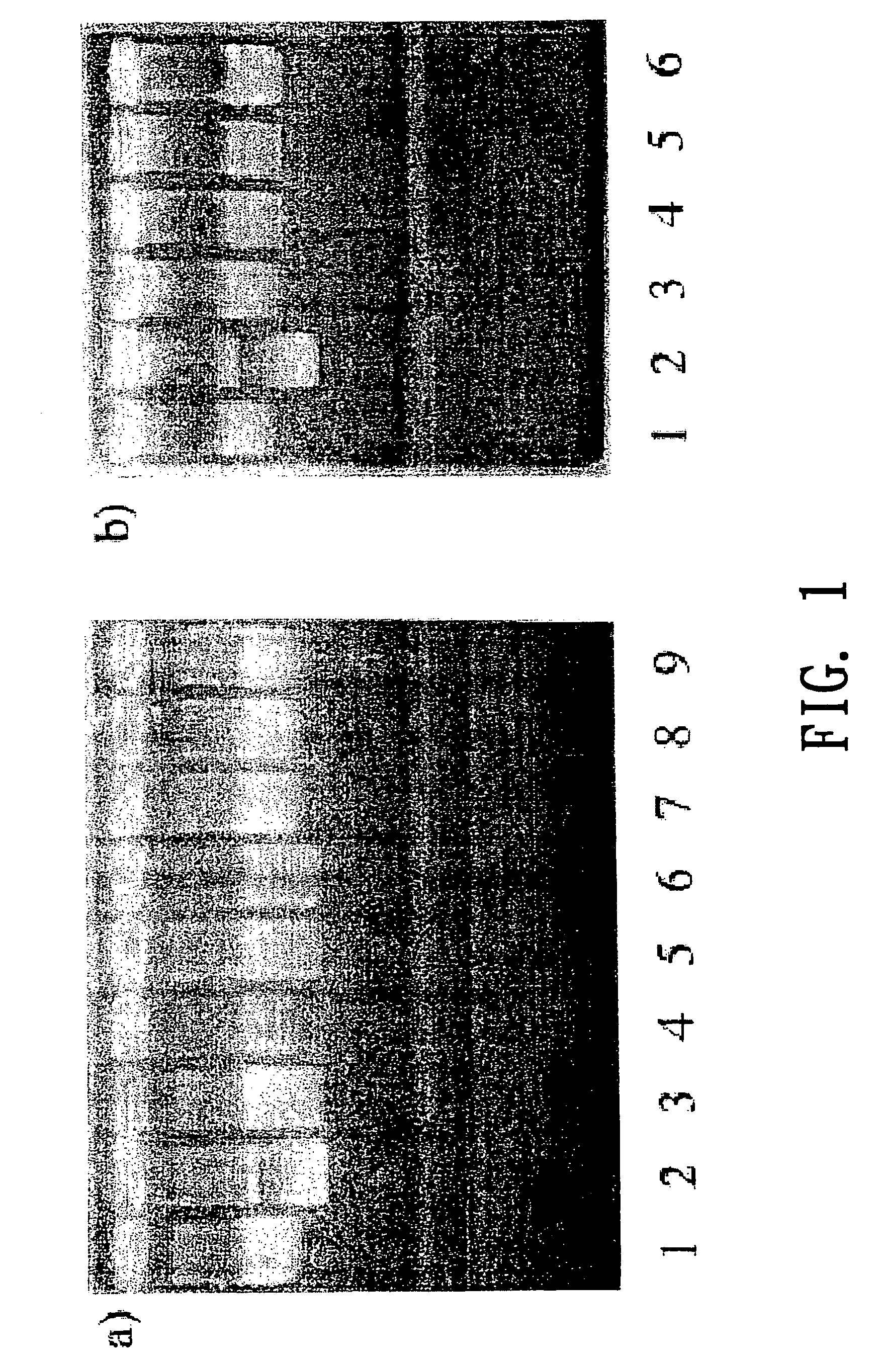 Aryl-substituted acyclic enediyne compounds