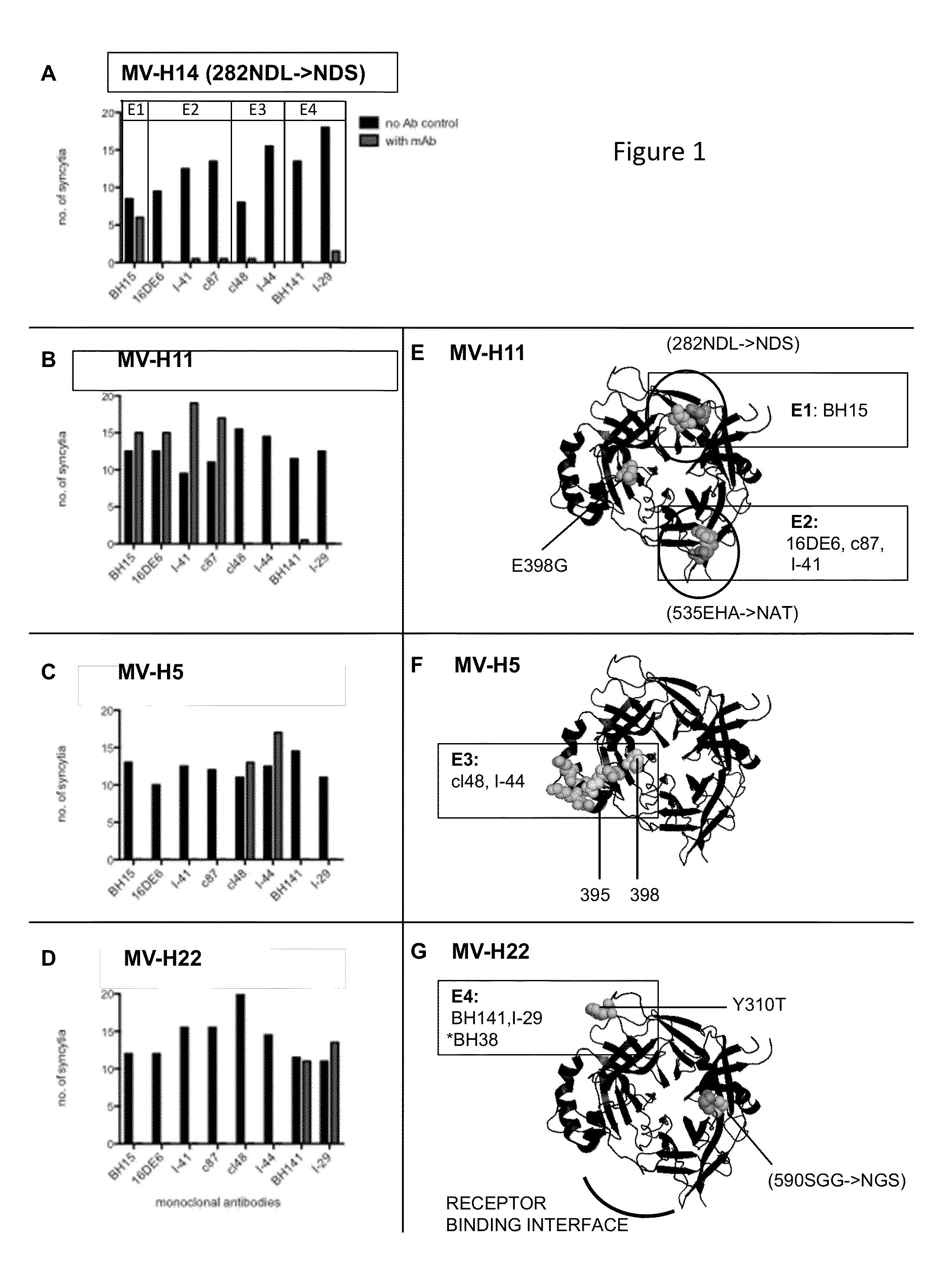 Measles viruses with reduced susceptibility to neutralization