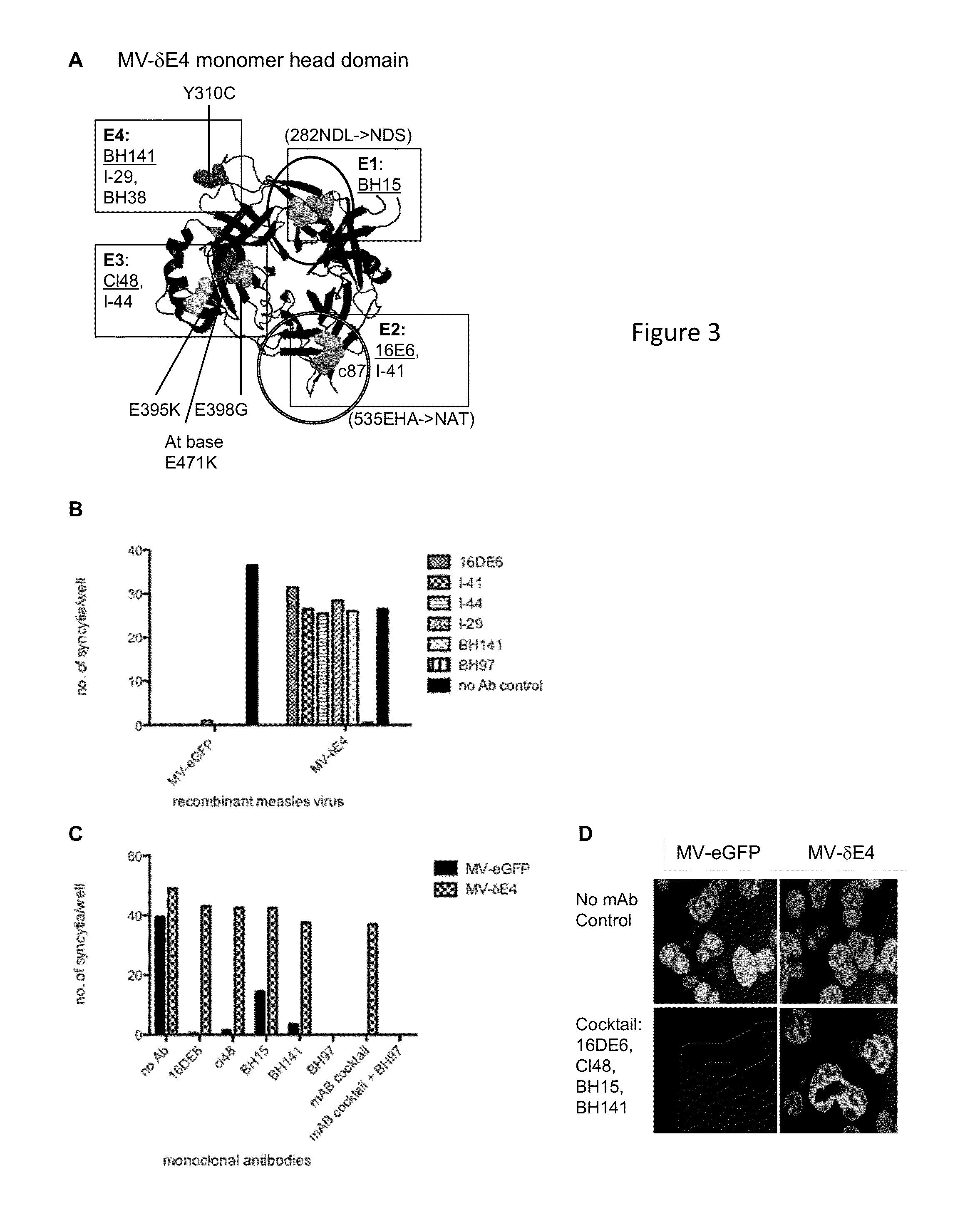 Measles viruses with reduced susceptibility to neutralization