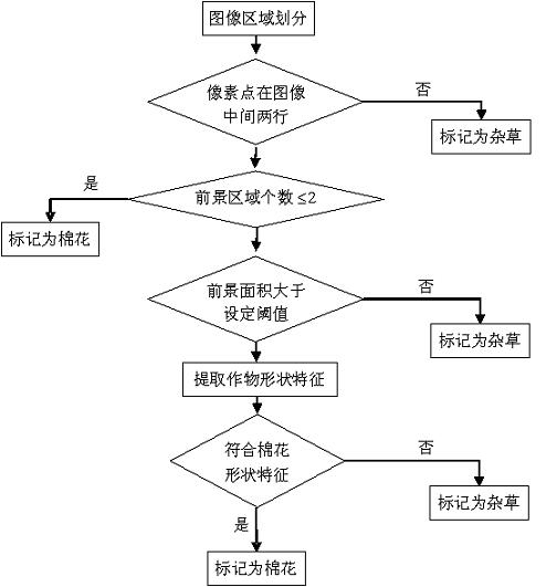 Method for carrying out real-time identification and targeted spraying on cotton field weeds