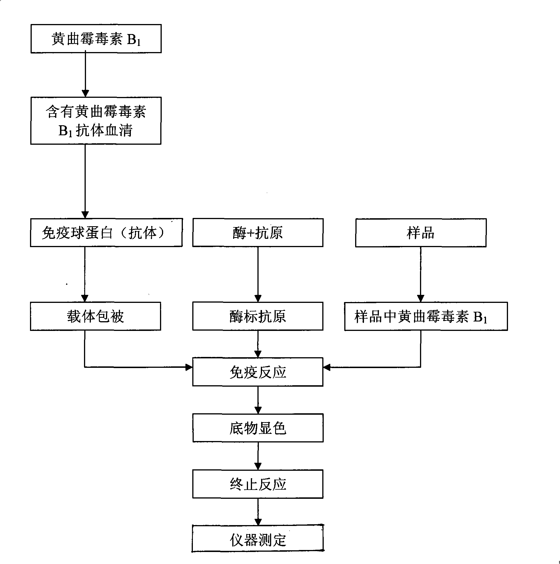 Method for accurately and rapidly checking aspergillus flavus toxin