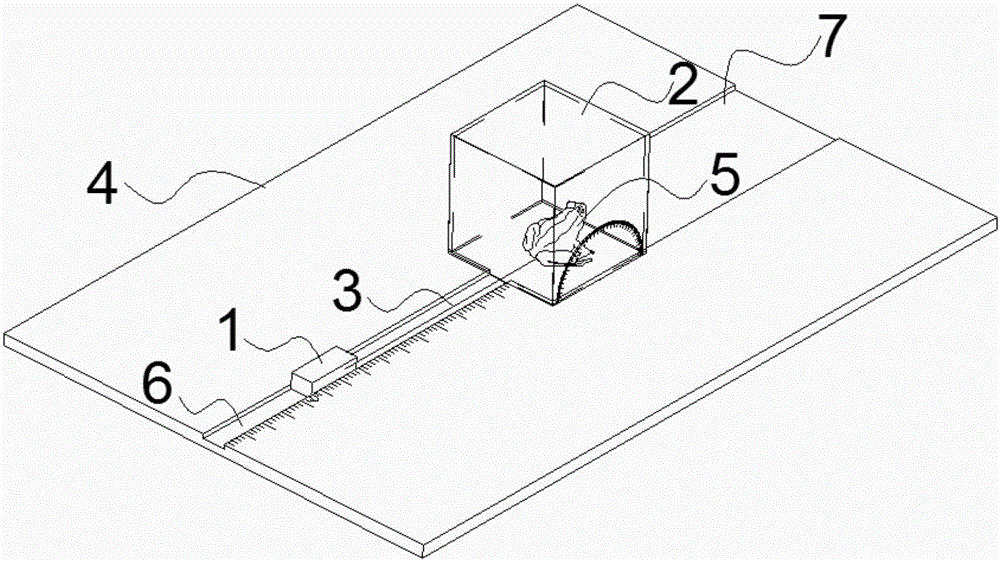 Rana nigromaculata jump force measuring device