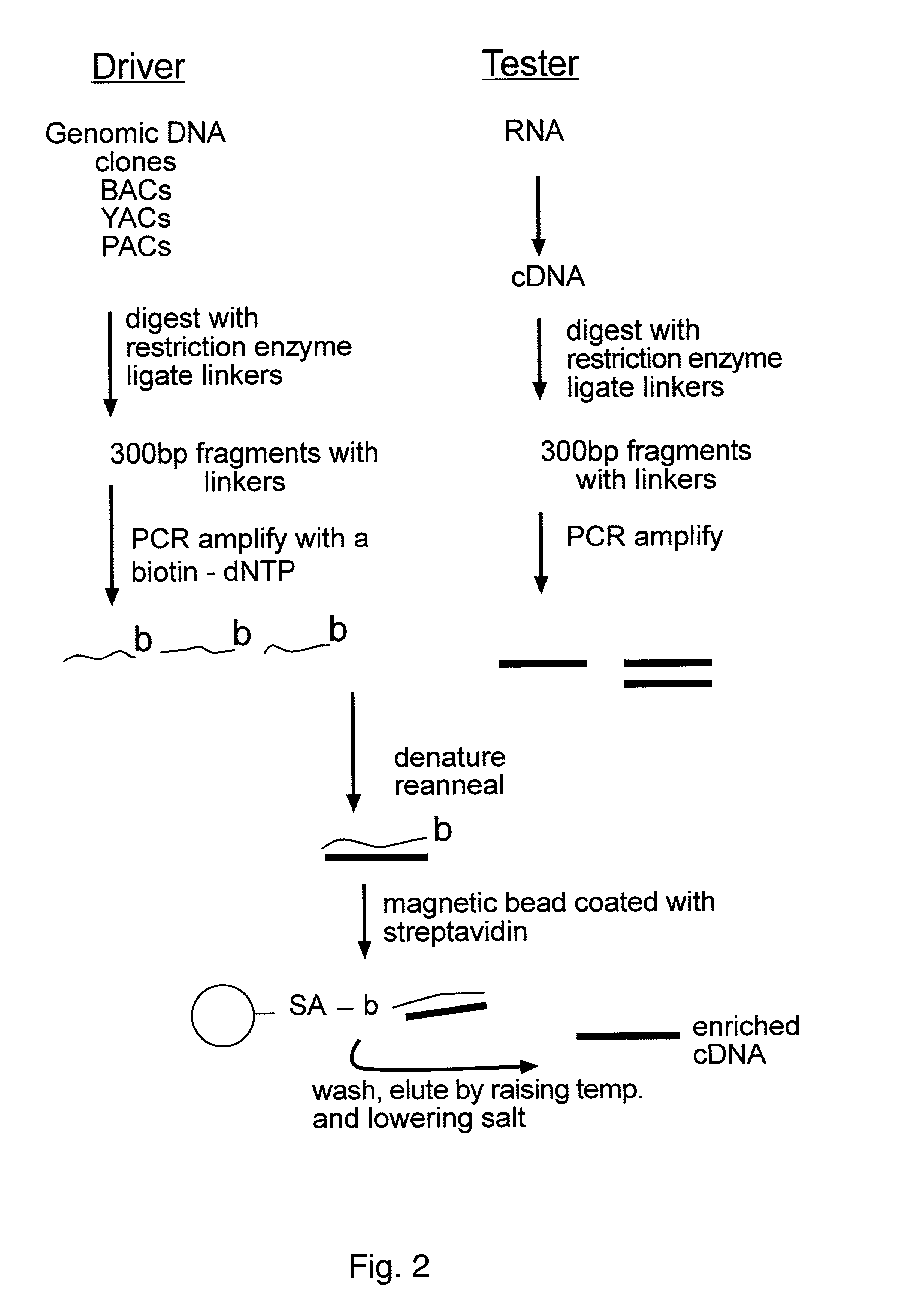 Methods for reducing complexity of nucleic acid samples