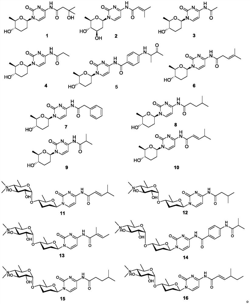 A kind of friendly mycin compound and its preparation method and application