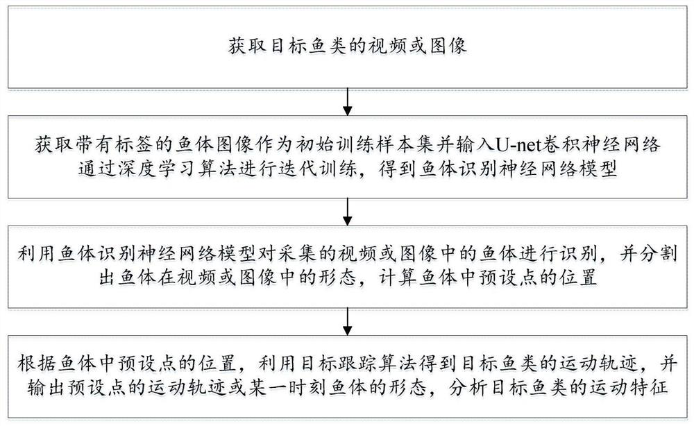 Fish trajectory tracking method and system based on artificial neural network